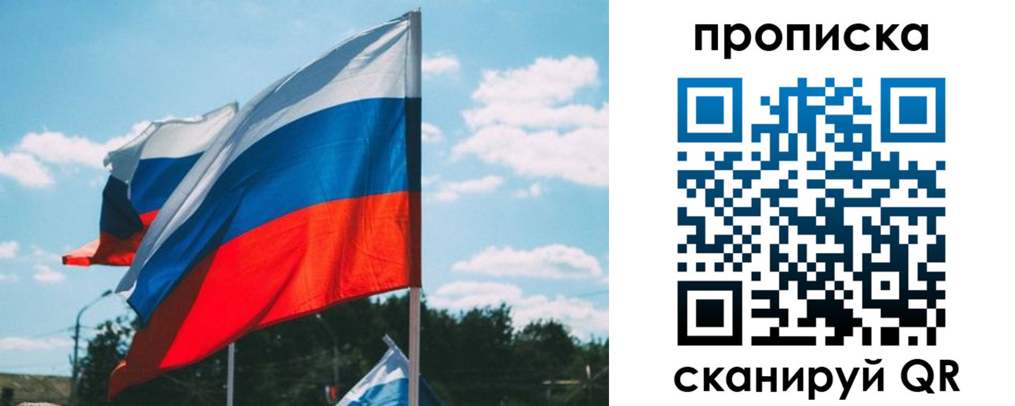 прописка поиск в Курской области